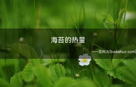 海苔的热量