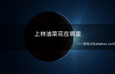 上林油菜花在哪里