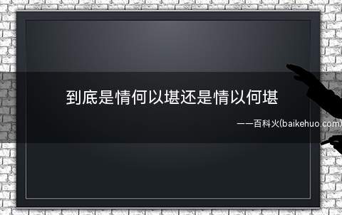 到底是情何以堪还是情以何堪
