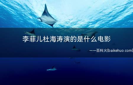李菲儿杜海涛演的是什么电影