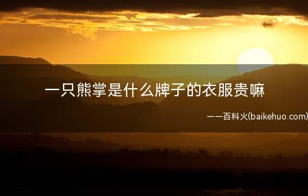 一只熊掌是什么牌子的衣服贵嘛