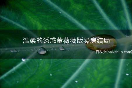 温柔的诱惑董薇薇版买房结局