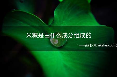 米糠是由什么成分组成的