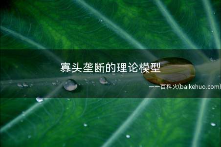 寡头垄断的理论模型