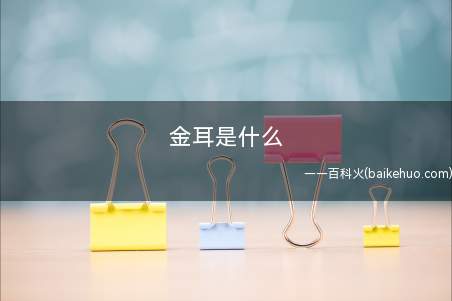 金耳是什么