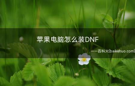 苹果电脑怎么装DNF