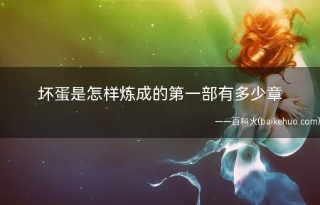 坏蛋是怎样炼成的第一部有多少章