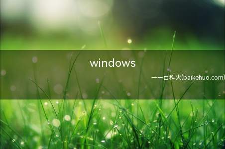 windows pe系统是什么
