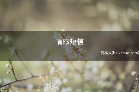 情感短信