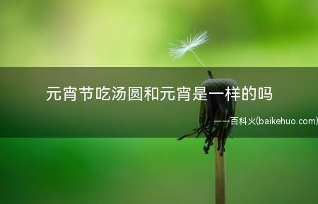 元宵节吃汤圆和元宵是一样的吗 汤圆和元宵有区别吗