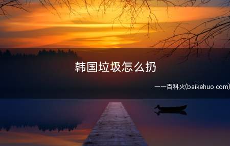 韩国垃圾怎么扔