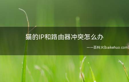猫的IP和路由器冲突怎么办