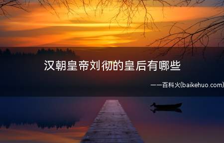 汉朝皇帝刘彻的皇后有哪些