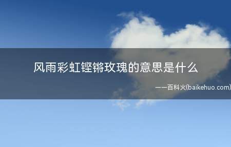 风雨彩虹铿锵玫瑰的意思是什么
