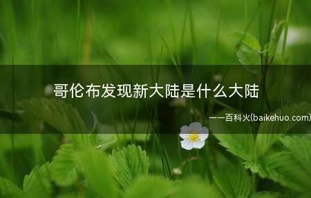 哥伦布发现新大陆是什么大陆