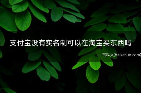 支付宝没有实名制可以在淘宝买东西吗