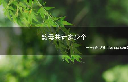 韵母共计多少个
