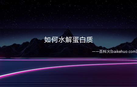 如何水解蛋白质