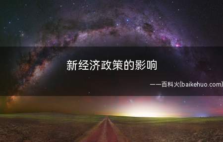 新经济政策的影响