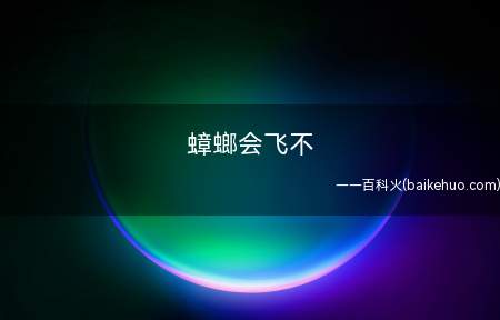 蟑螂会飞不