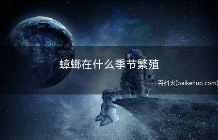 蟑螂在什么季节繁殖