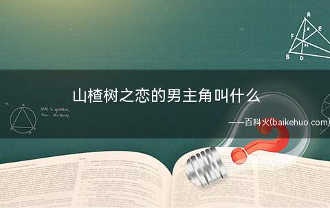 山楂树之恋的男主角叫什么