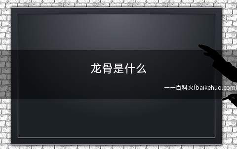 龙骨是什么