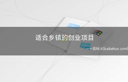 适合乡镇的创业项目