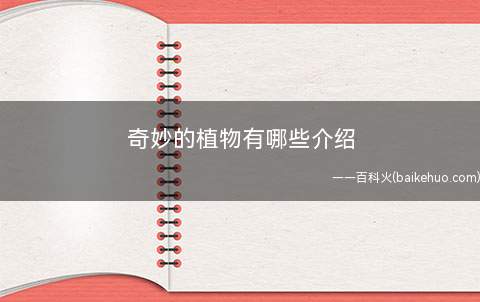 奇妙的植物有哪些介绍