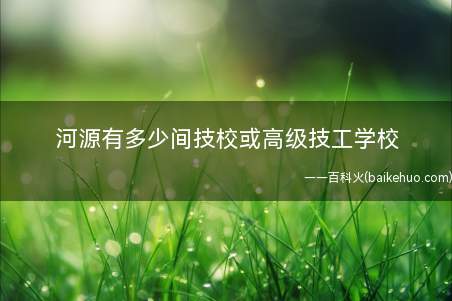 河源有多少间技校或高级技工学校