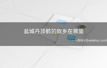 盐城丹顶鹤的故乡在哪里