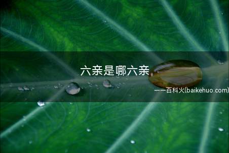 六亲是哪六亲