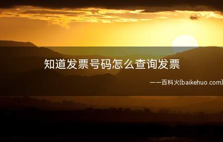 知道发票号码怎么查询发票