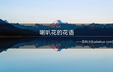 喇叭花的花语