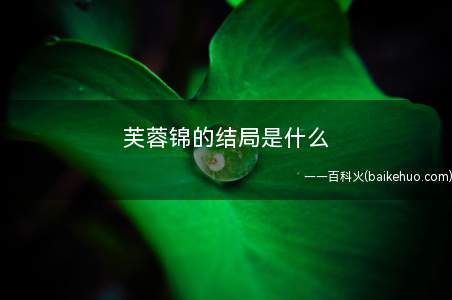 芙蓉锦的结局是什么
