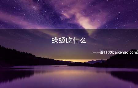 蝾螈吃什么