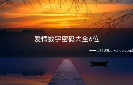 爱情数字密码大全6位