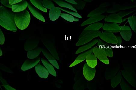 h+是什么意思