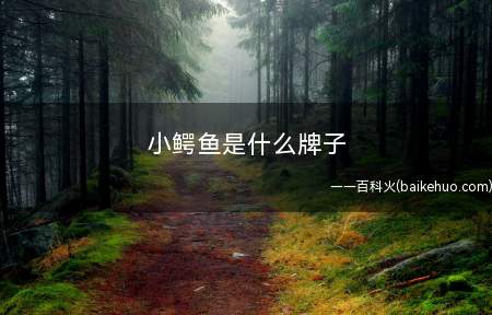 小鳄鱼是什么牌子