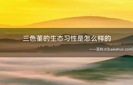 三色堇的生态习性是怎么样的