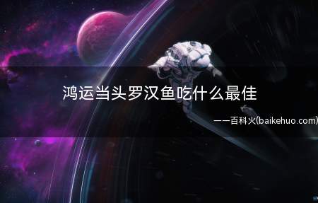 鸿运当头罗汉鱼吃什么最佳