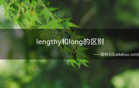 lengthy和long的区别