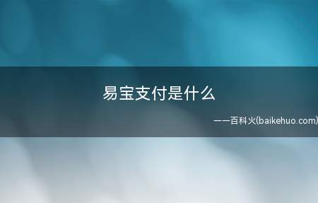 易宝支付是什么
