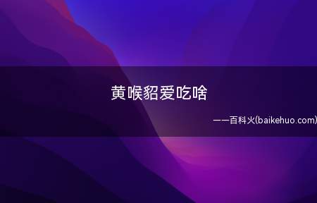黄喉貂爱吃啥