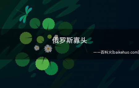 俄罗斯寡头是什么意思