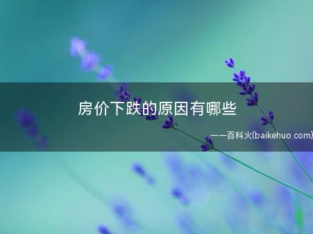 房价下跌的原因有哪些