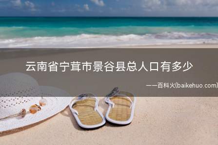 云南省宁茸市景谷县总人口有多少
