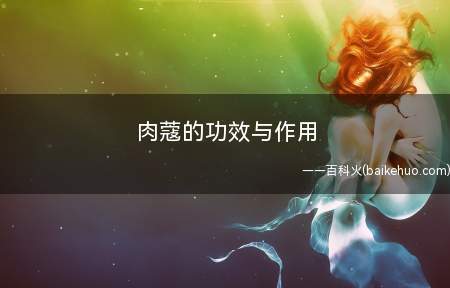肉蔻的功效与作用
