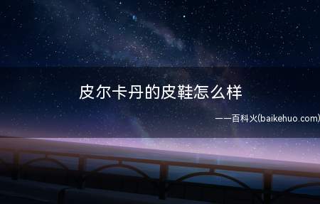 皮尔卡丹的皮鞋怎么样