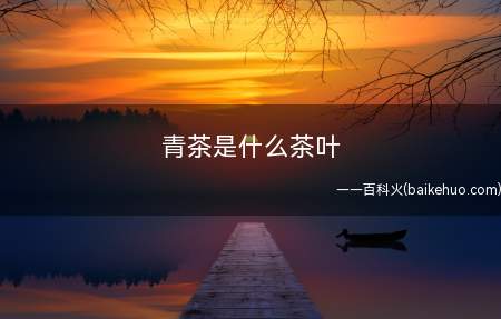 青茶是什么茶叶